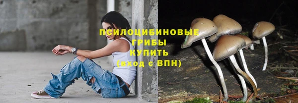таблы Армянск